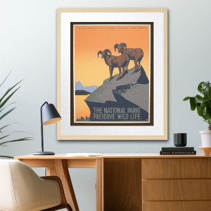 Poster Conservation de la faune - Vintage voyage