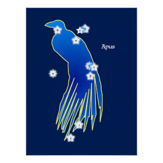 Poster Constellation du Paradisier