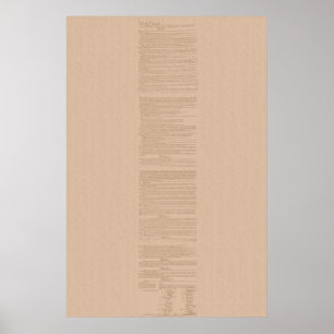 Poster Constitution d'Etats-Unis