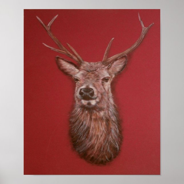 Poster contemporain de Red Deer Staer Highland (Devant)