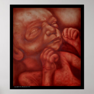 Poster Contrôle des naissances