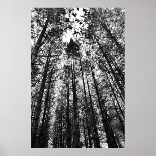 Poster Convergence des esprits