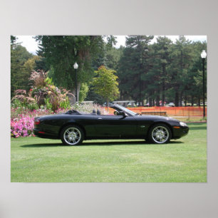Poster Convertible Jaguar XK8