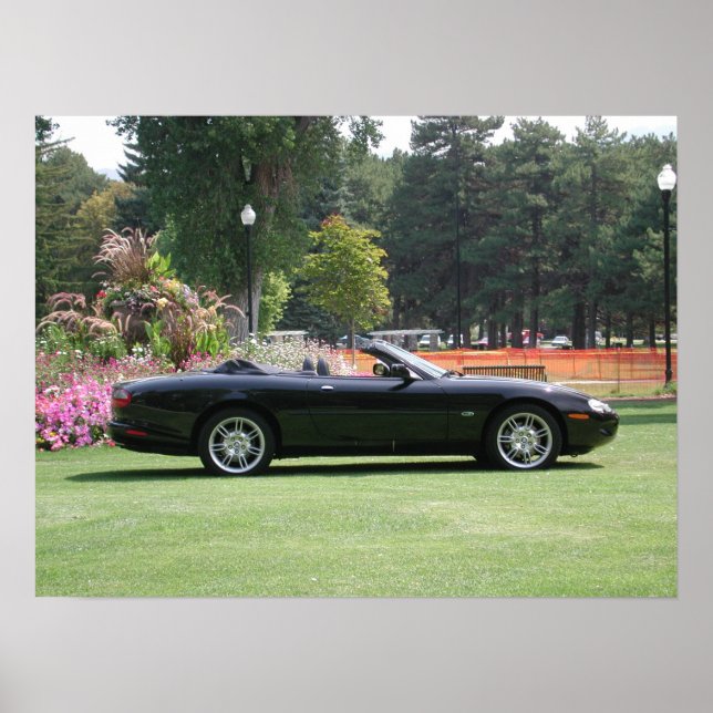 Poster Convertible Jaguar XK8 (Devant)