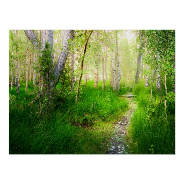 Poster Convict Lake Aspen Meadow Wall Art Nature Print (Devant)