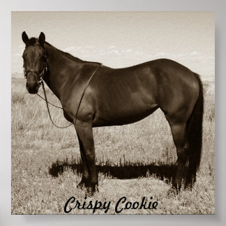 Poster Cookie