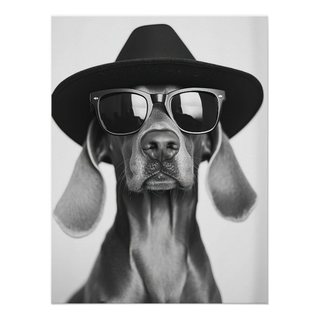 Poster Cool Dog Portrait - Weimaraner in Hat and Sunglass (Devant)