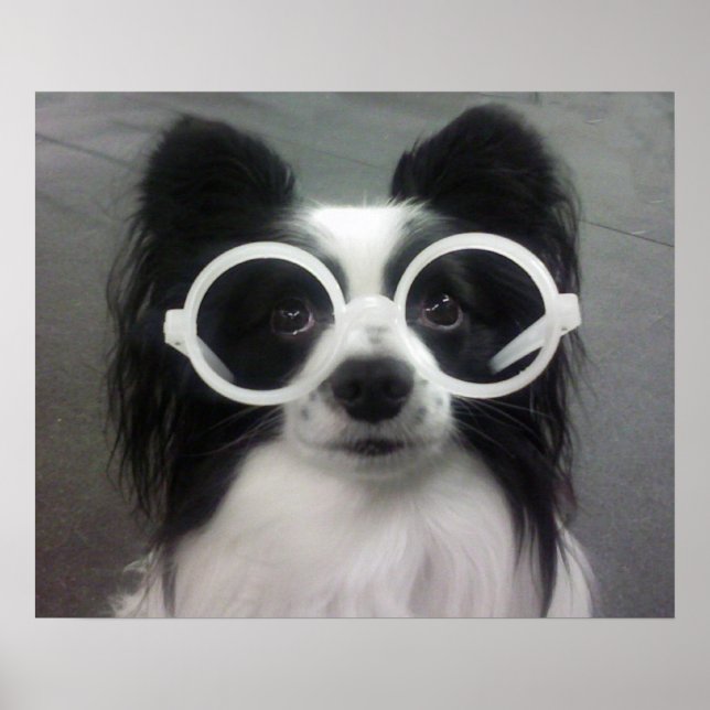 POSTER COOPER DANS LES OMBRES (Devant)