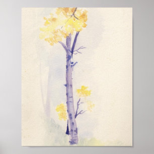 Poster Copie 8x10 d'arbre de bouleau