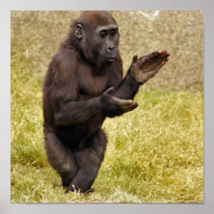 Poster Copie d'affiche de chimpanzé