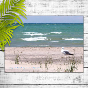 Poster Copie d'aquarelle de plage de mouette