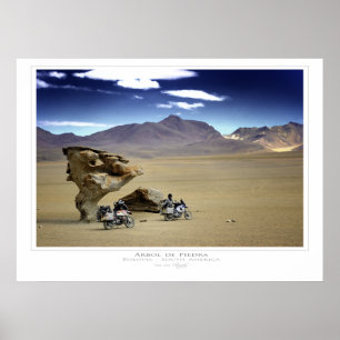Poster Copie d'Arbol de Piedra (l'arbre de roche)