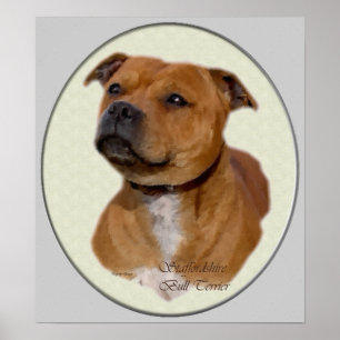 Poster Copie d'art de bull-terrier du Staffordshire
