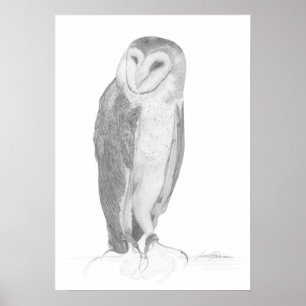 Poster Copie d'art du hibou de grange  