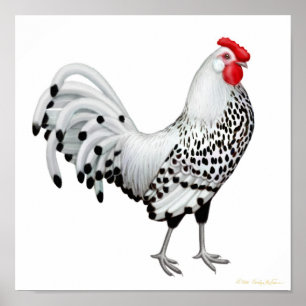 Poster Copie de coq de Hambourg ornée de paillettes par