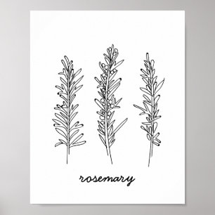 Poster Copie d'illustration de Rosemary
