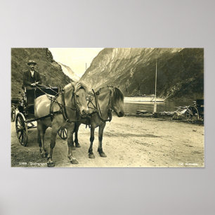 Poster Copie - Gudvangen, Norvège