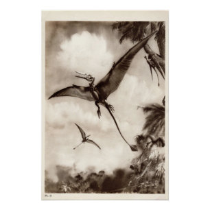 Poster Copie vintage #3 de dinosaure