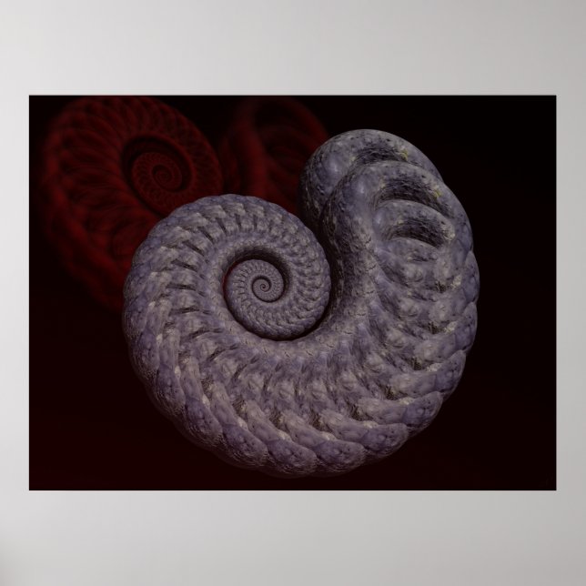 Poster Coquille d'ammonite (Devant)