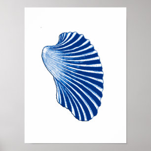 Poster Coquille de St Jacques, bleu d'Indigo et blanc