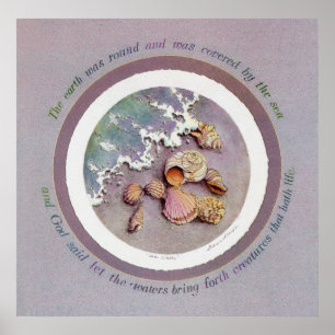 Poster COQUILLES MARINES par SHARON SHARPE
