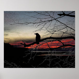Poster Corbeau sur l'arbre au coucher du soleil