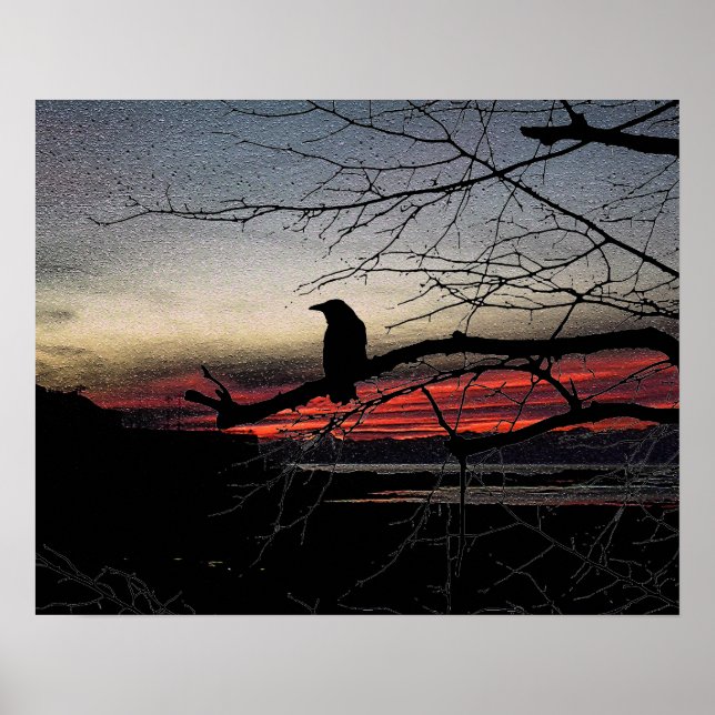 Poster Corbeau sur l'arbre au coucher du soleil (Devant)