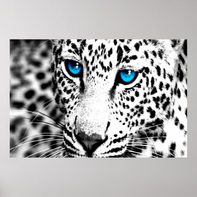 Poster Corey Tiger 80s Retro Leopard (Devant)