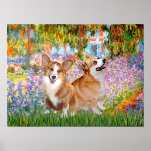 Poster Corgis gallois (deux Pembroke) -Jardin à Giverney