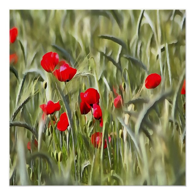 Poster Corn Poppies (Devant)