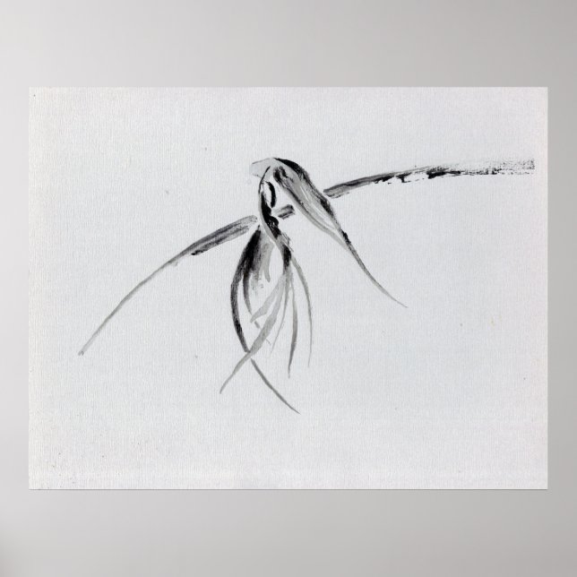 Poster Corneille (Devant)