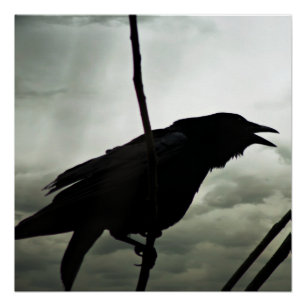 Poster Corneille/affiche de Raven