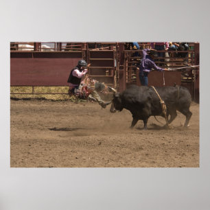 Poster Cornes de dilemme