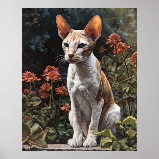 Poster Cornish Rex Cat Art Imprimer (Devant)