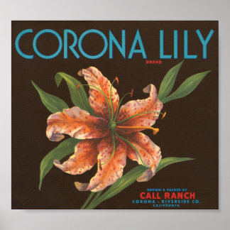 Poster Corona Lily Marque Vintage Étiquette Crate