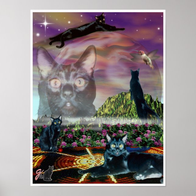 Poster Cosmos (Devant)