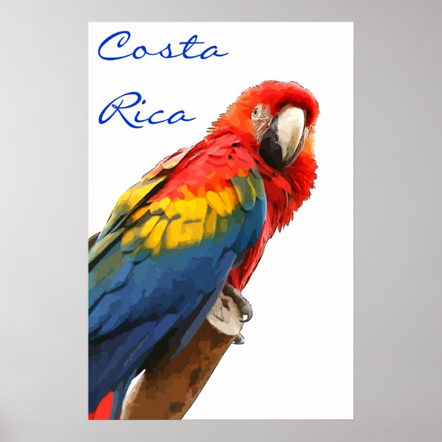 Poster Costa Rica Scarlet Macaw (Devant)