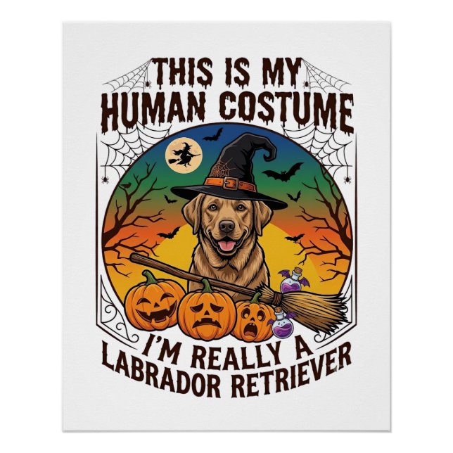 Poster Costume Humain Labrador Retriever Sorcière d'Hallo (Devant)