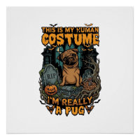 Costume Humain Pug Halloween Citrouille Pierre Tom