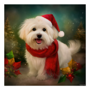 Poster Coton De Tulear Chien dans la neige Noël