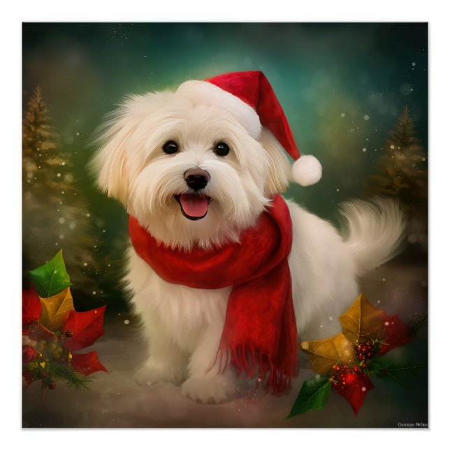 Poster Coton De Tulear Chien dans la neige Noël (Devant)