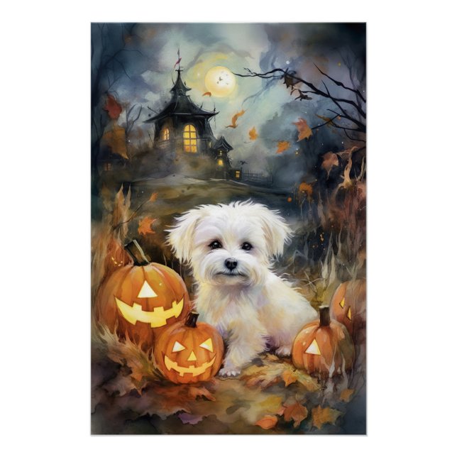 Poster Coton De Tulear Halloween avec citrouilles effraya (Devant)