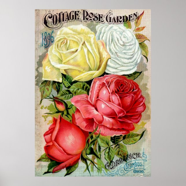 Poster Cottage Rose Garden Publicité (Devant)