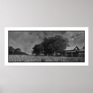Poster Cottonfield & Barne Imprimer