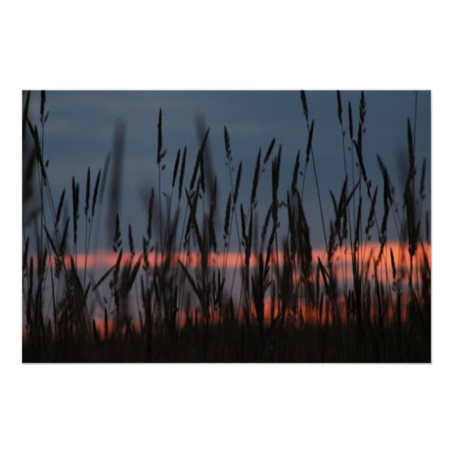 Poster Coucher de soleil agricole (Devant)