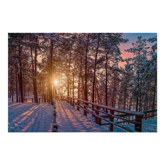 Poster Coucher de soleil dans la pinède enneigée avec ray (Devant)