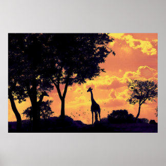 Poster coucher de soleil de girafe