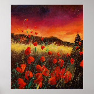 Poster Coucher de soleil de pavot rouge 76