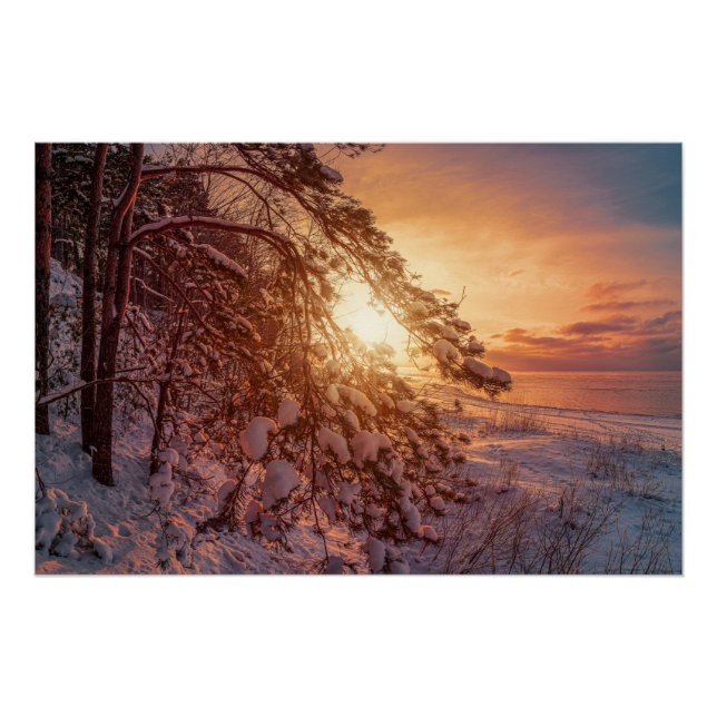 Poster Coucher de soleil sur la mer et le pin (Devant)