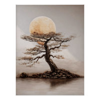Coucher de soleil sur l'arbre